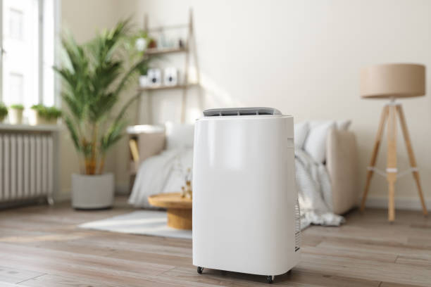 Best Affordable HVAC Services  in Clifton, TN